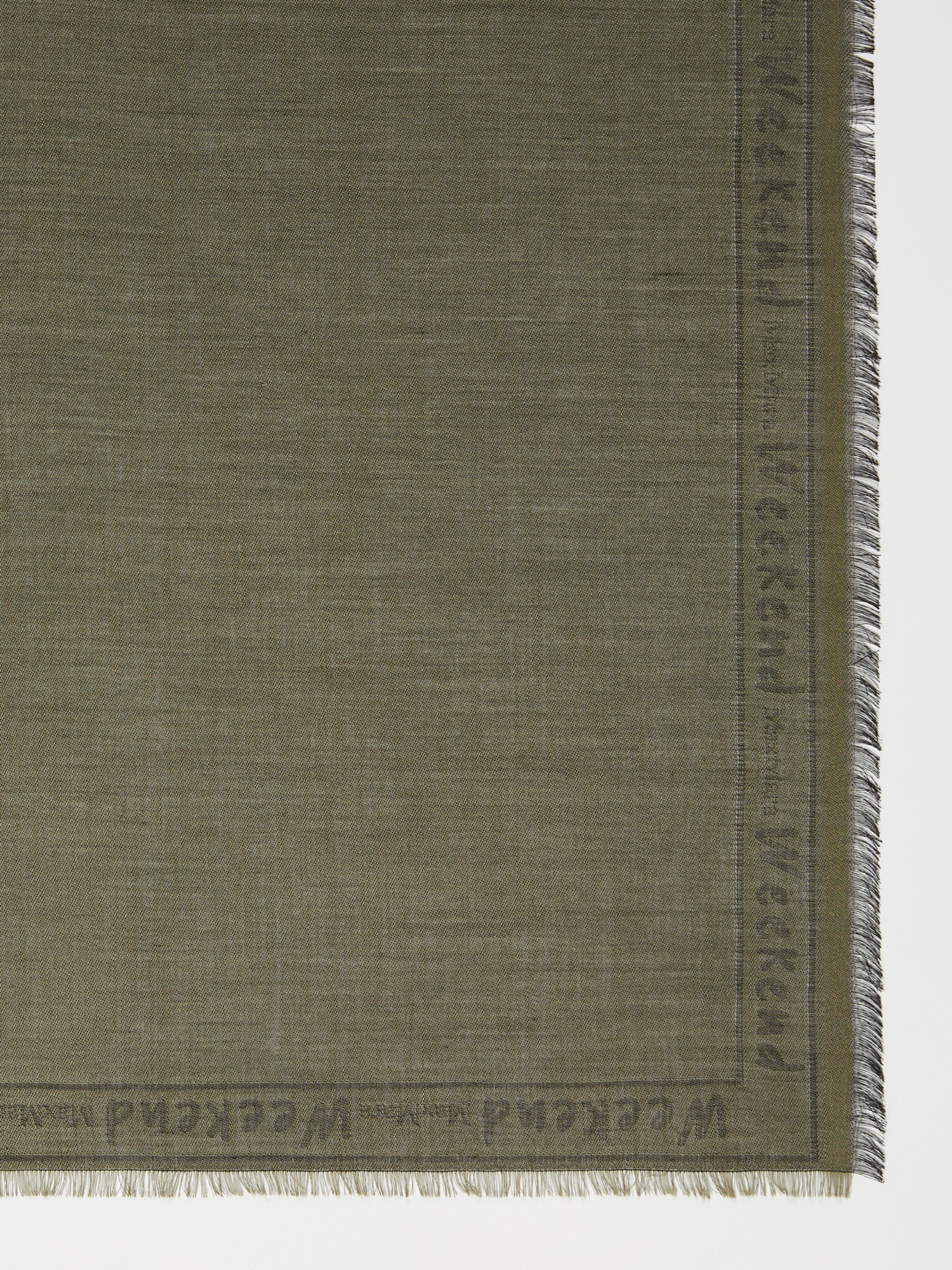 Weekend Max Mara Fringed Scarf In Green
