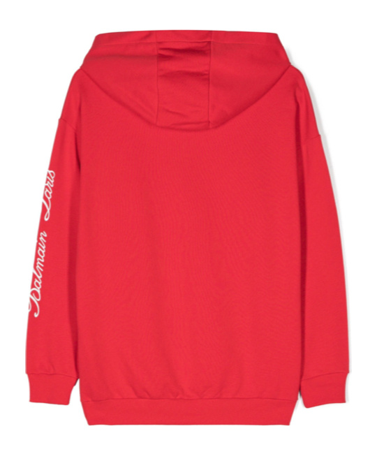 Balmain 3d Dragon-print Hoodie In Red
