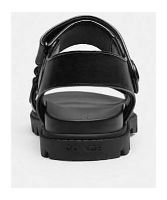 Shop Coach Brynn Leather Sandals In Black