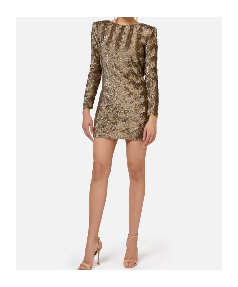 Elisabetta Franchi Sequin-embellished Tulle Mini Dress In Brown