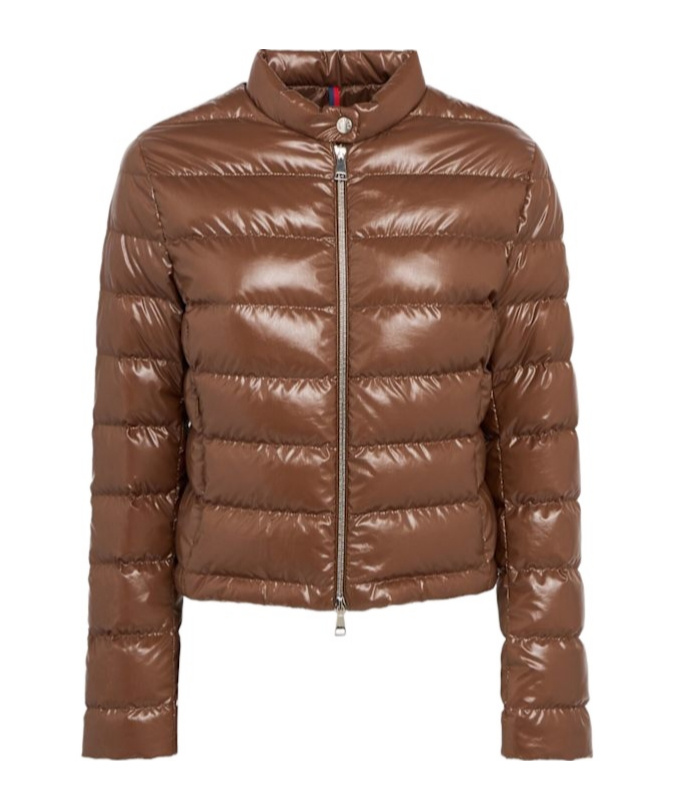 Moncler Down Jacket In Brown
