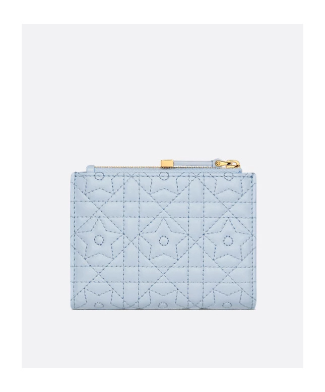 Dior Zipper Wallet In Sky-blue