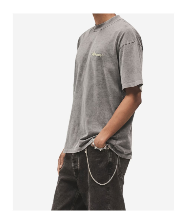 Represent Logo Printed T-shirt In Burgundy