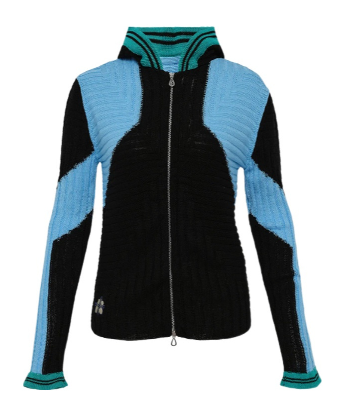 Kiko Kostadinov Quimby Fitted Knit Hoodie In Blue