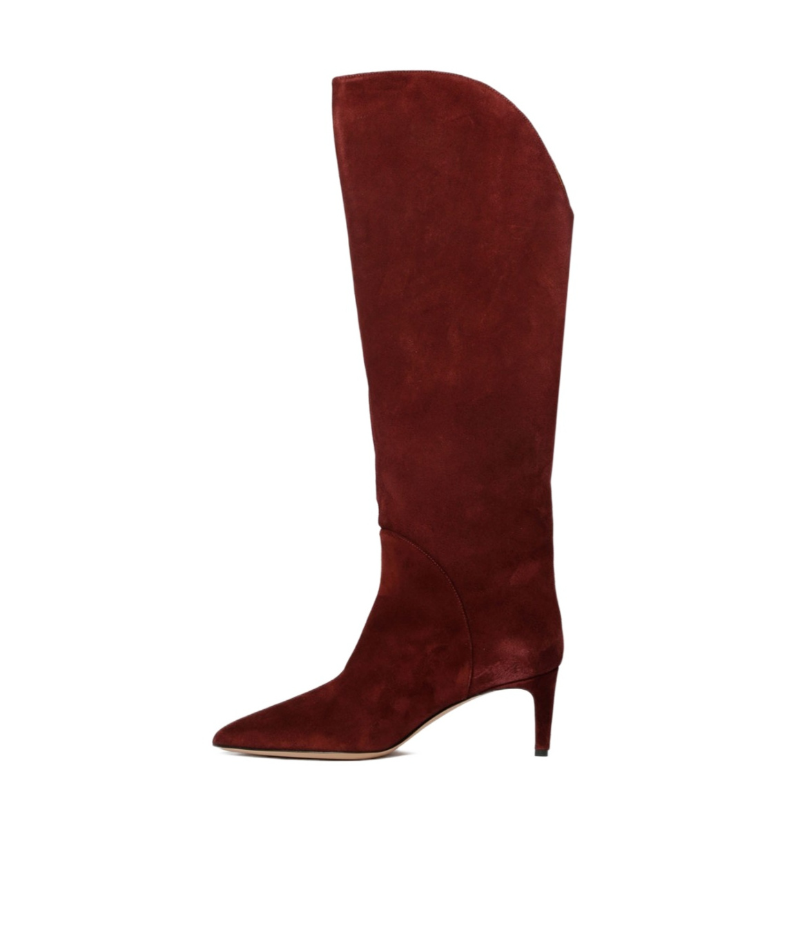 Paris Texas Pointed Toe Boots In Brown