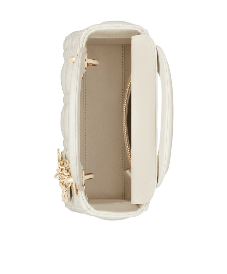 Dior Logo Mini Shoulder Bag In White
