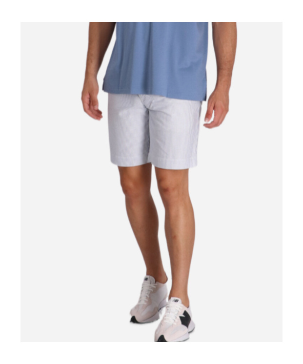 Polo Ralph Lauren Striped Cotton Shorts In Blue