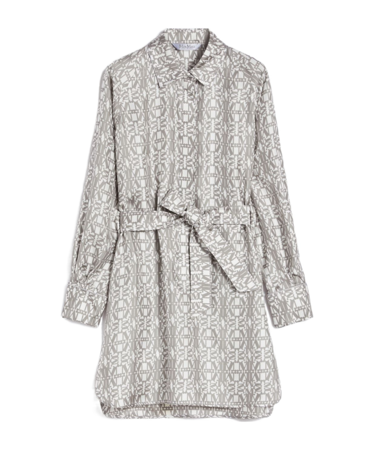 Max Mara Printed Silk Shirt Dress In Gray