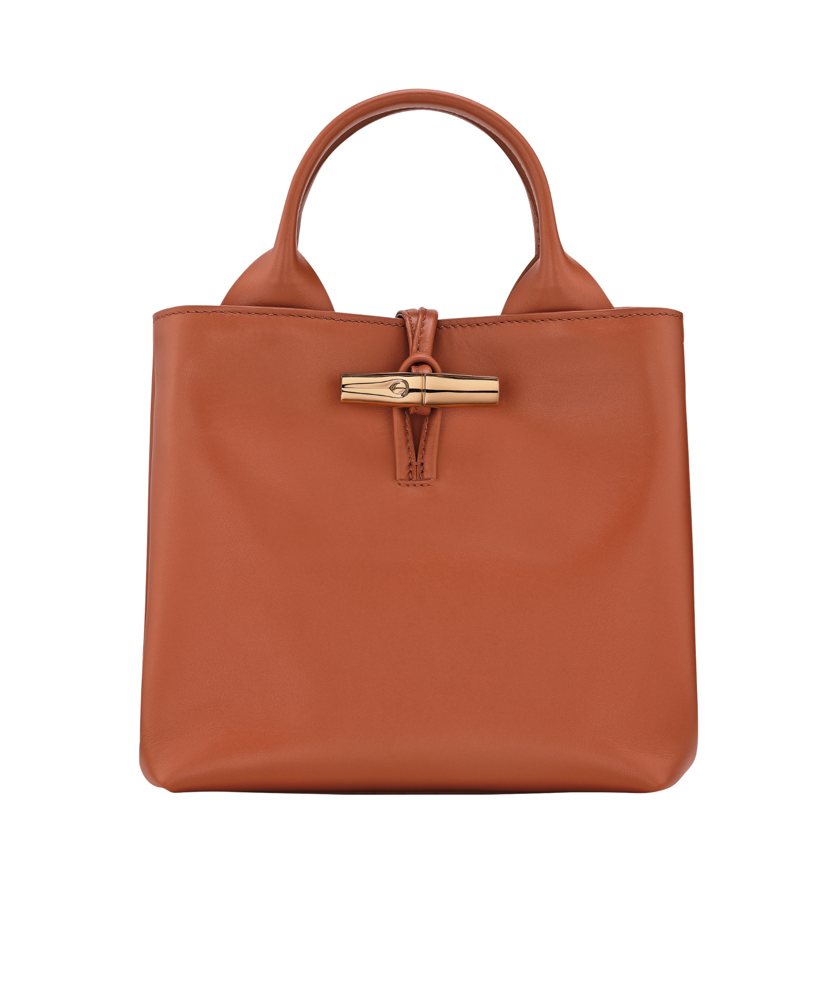 Longchamp Small Le Roseau Tote Bag In Brown