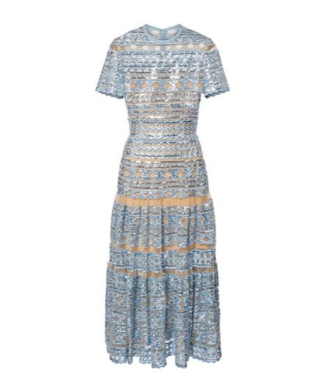 Elie Saab Embroidered Tulle Maxi Dress In Blue