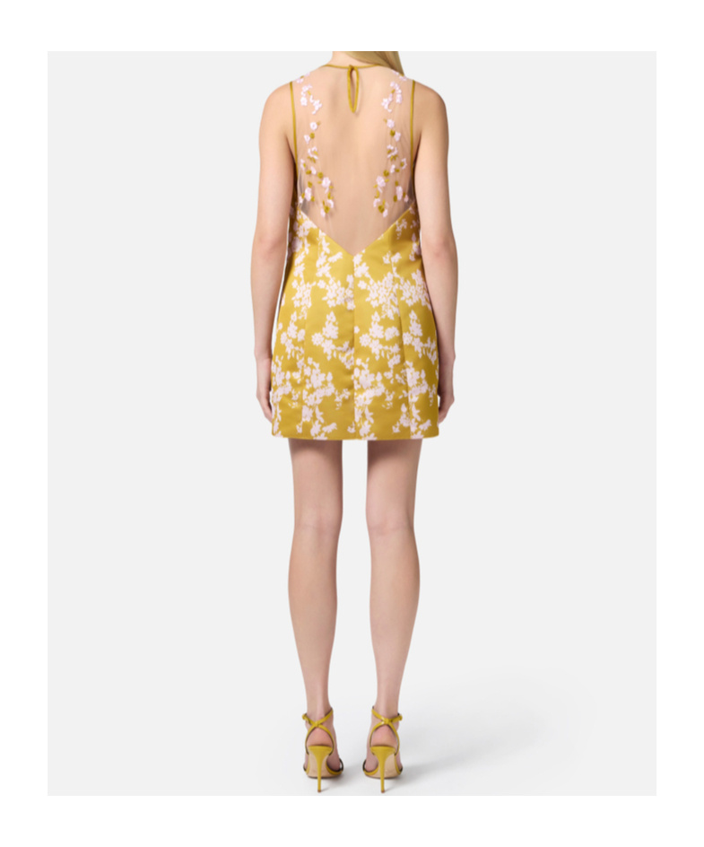 Elisabetta Franchi Dress In Yellow