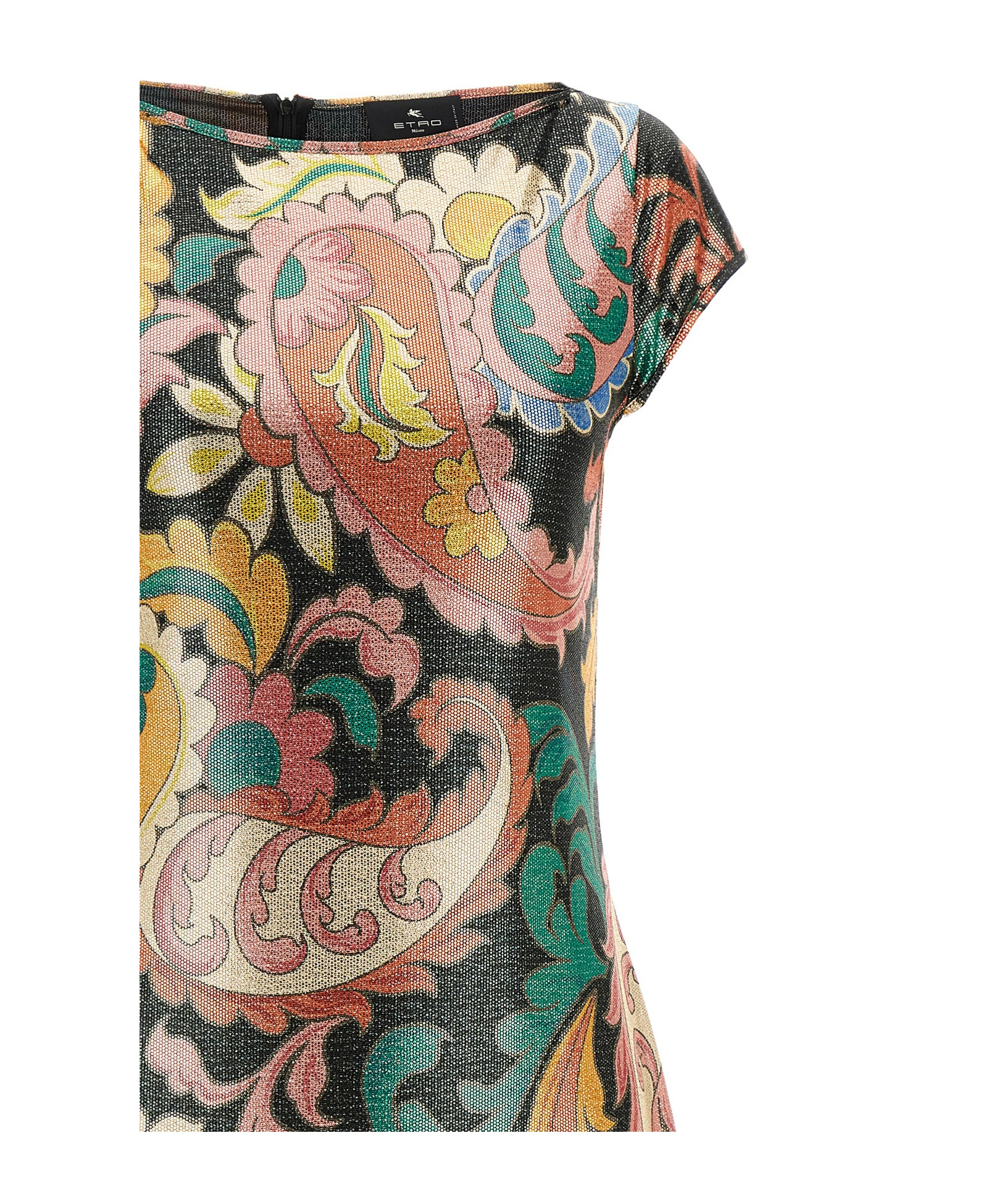 Etro Maxi Dress With Cap Sleeves And Paisley Pattern In Multicolor