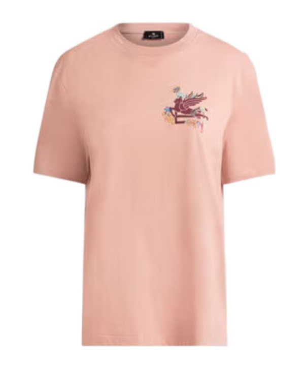 Etro Regular Fit T-shirt With Intricate Pegasus Graphic In Multi