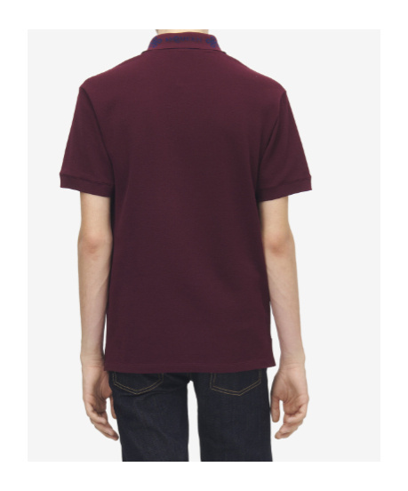 Alexander Mcqueen Men Polo Shirt With Logo On The Collar In Burgundy