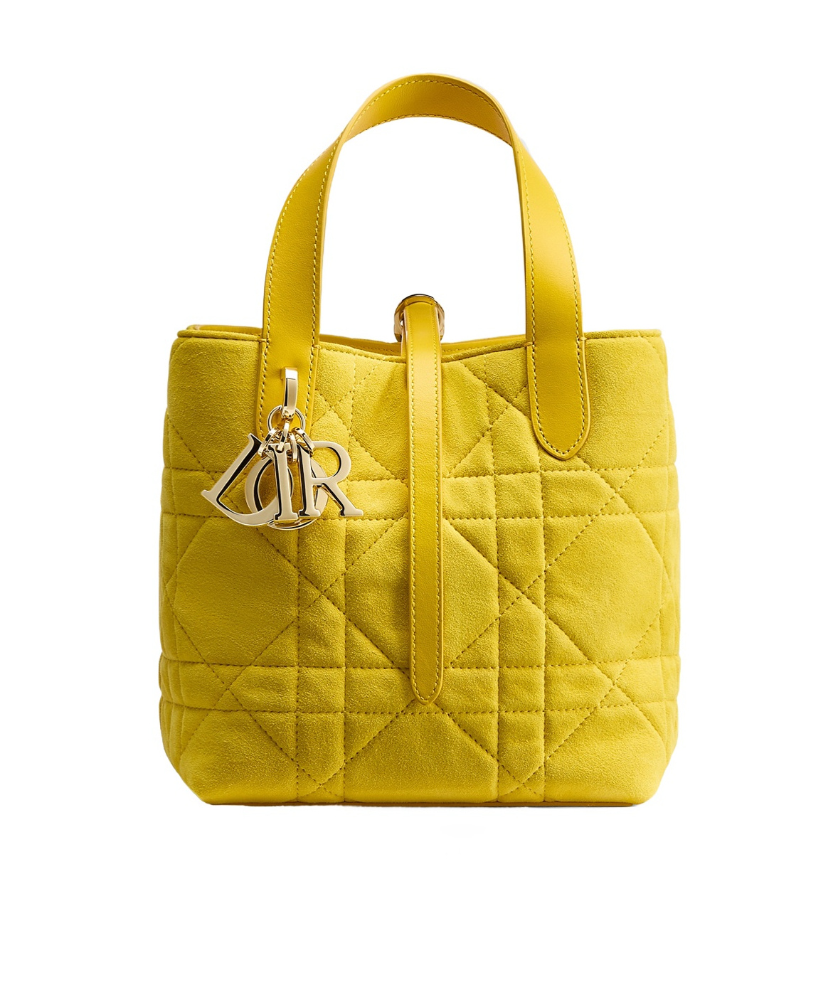 Dior Small  Toujours Vertical Tote Bag In Yellow