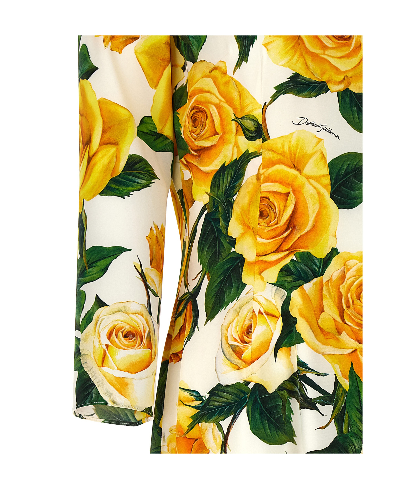 Shop Dolce & Gabbana Floral-print Silk-blend Dress In Multicolor