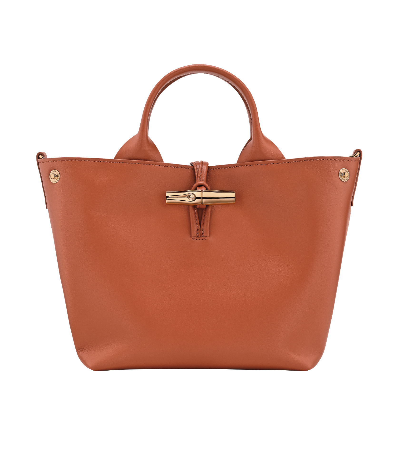 Longchamp Small Le Roseau Tote Bag In Brown