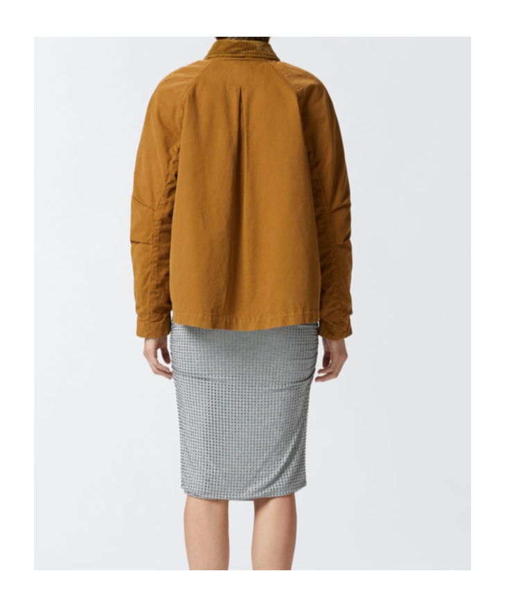 Pinko Pea Jacket With Corduroy Collar In Brown