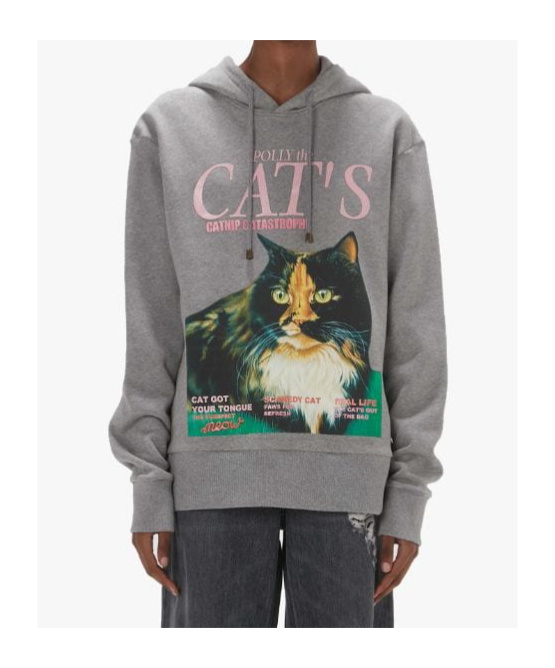 Jw Anderson Grey Cat Print Hoodie In Gray