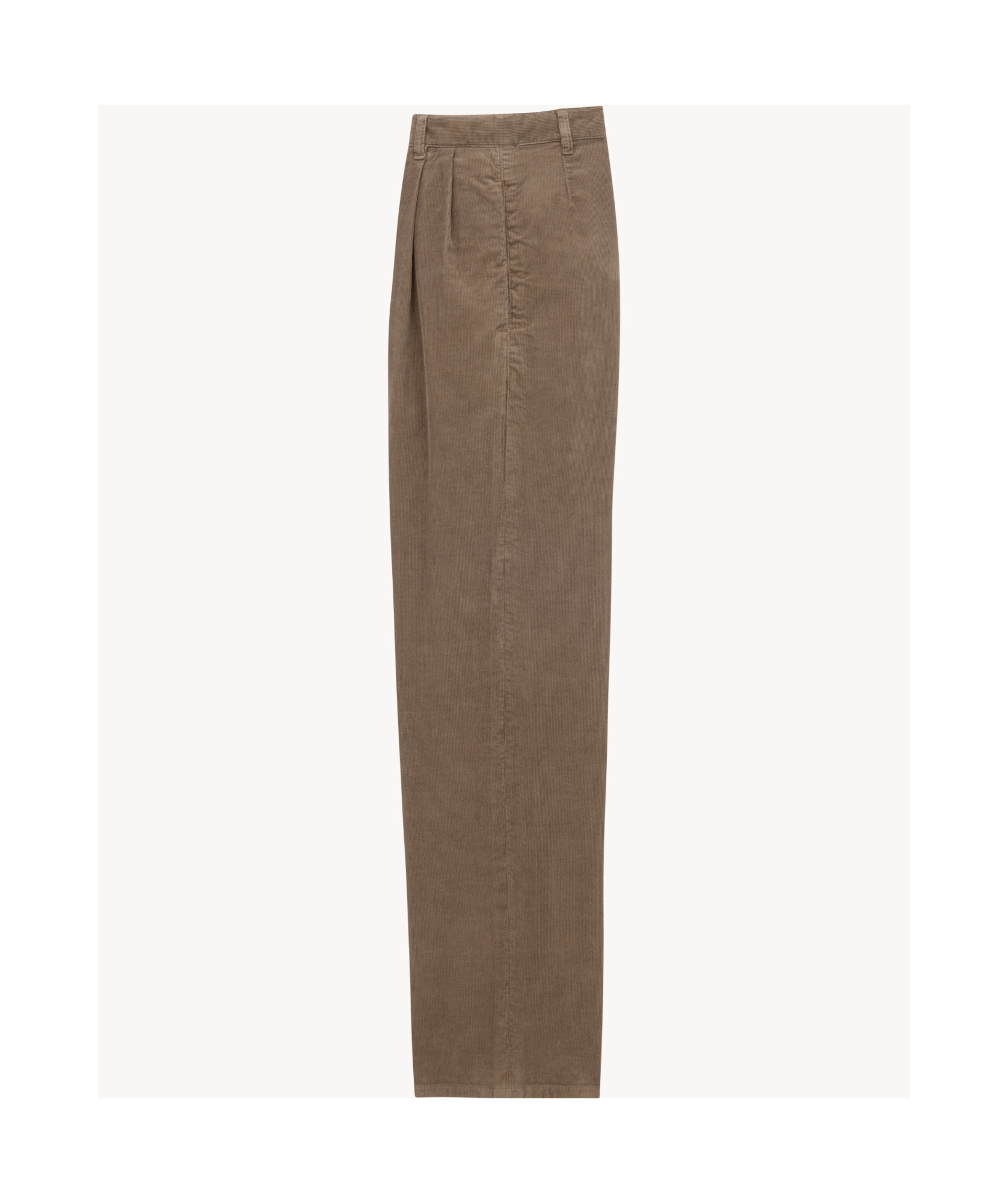 Saint Laurent Waistband Loop Casual Pants In Brown