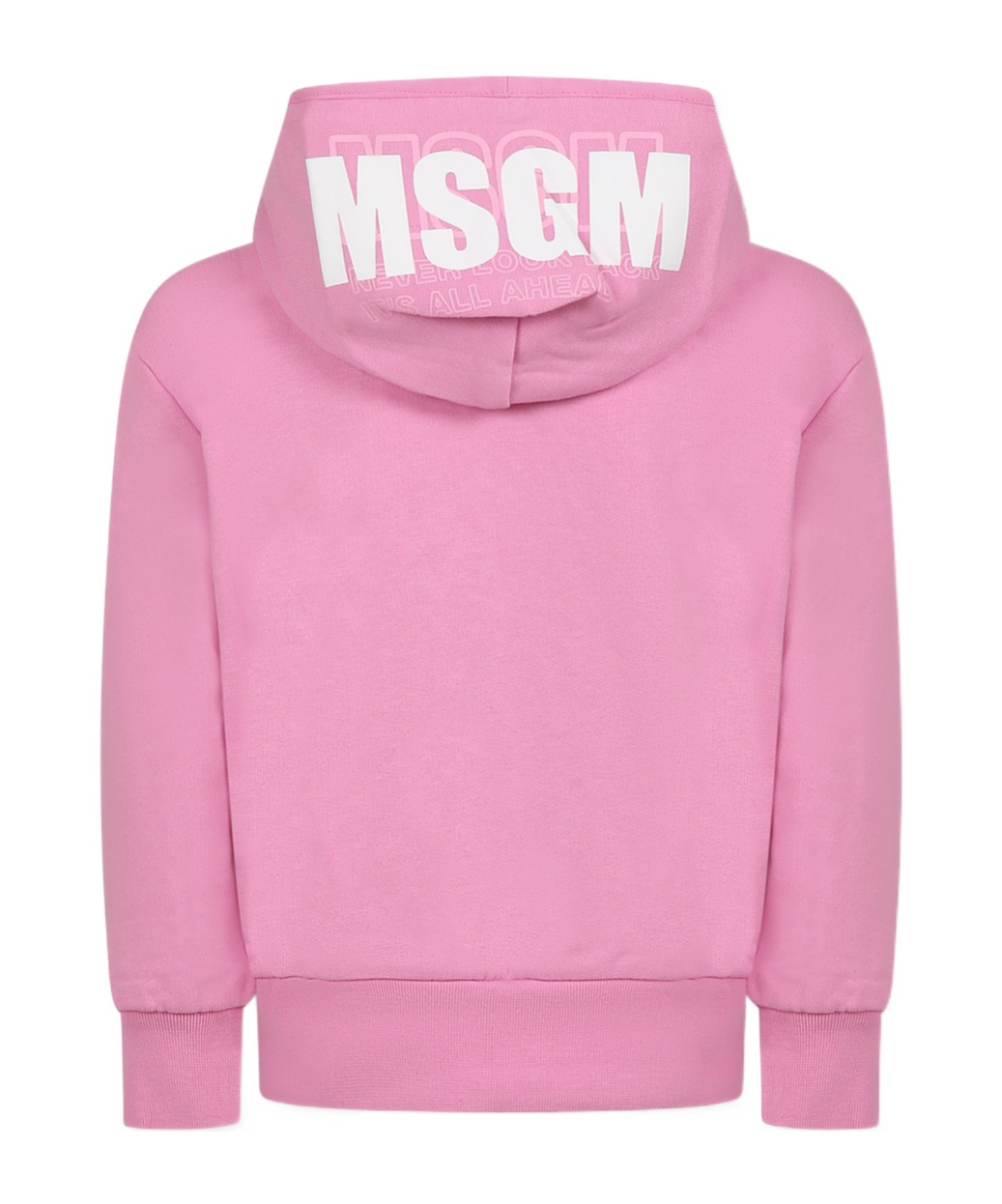 Msgm Hooded Sweater In Pink