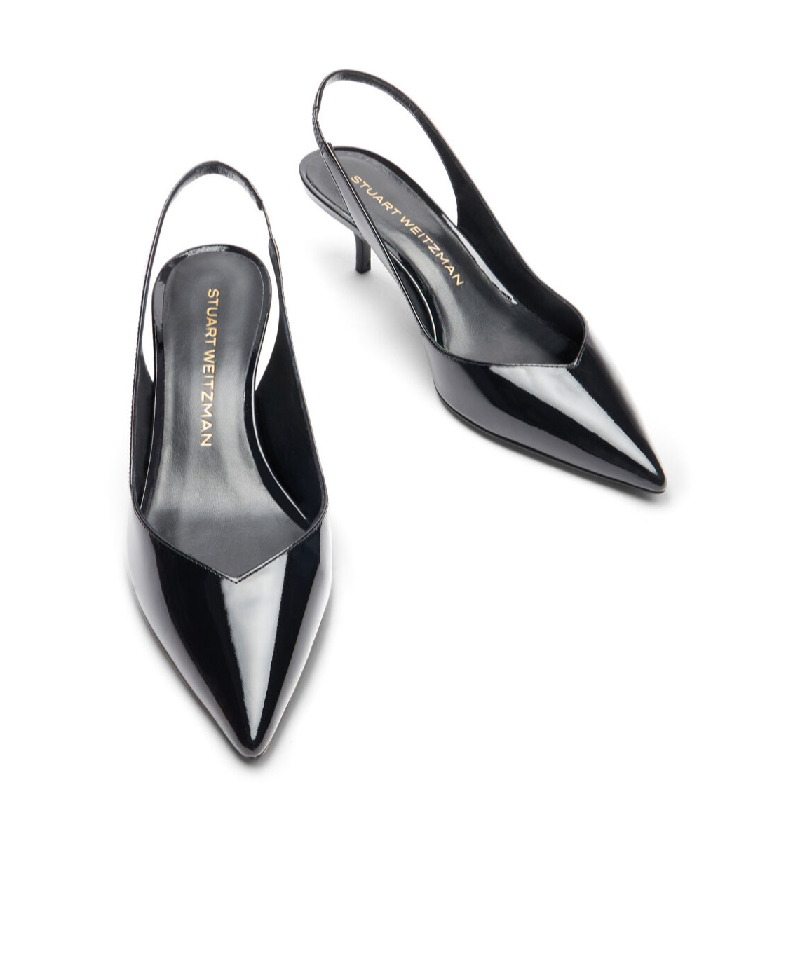 Stuart Weitzman Pumps Woman Color Black In Black