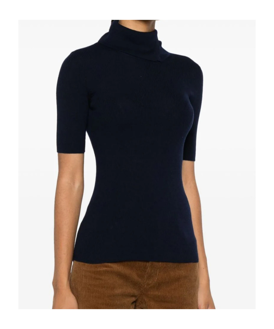 P.a.r.o.s.h Leila Turtleneck Wool Knit Top In Black