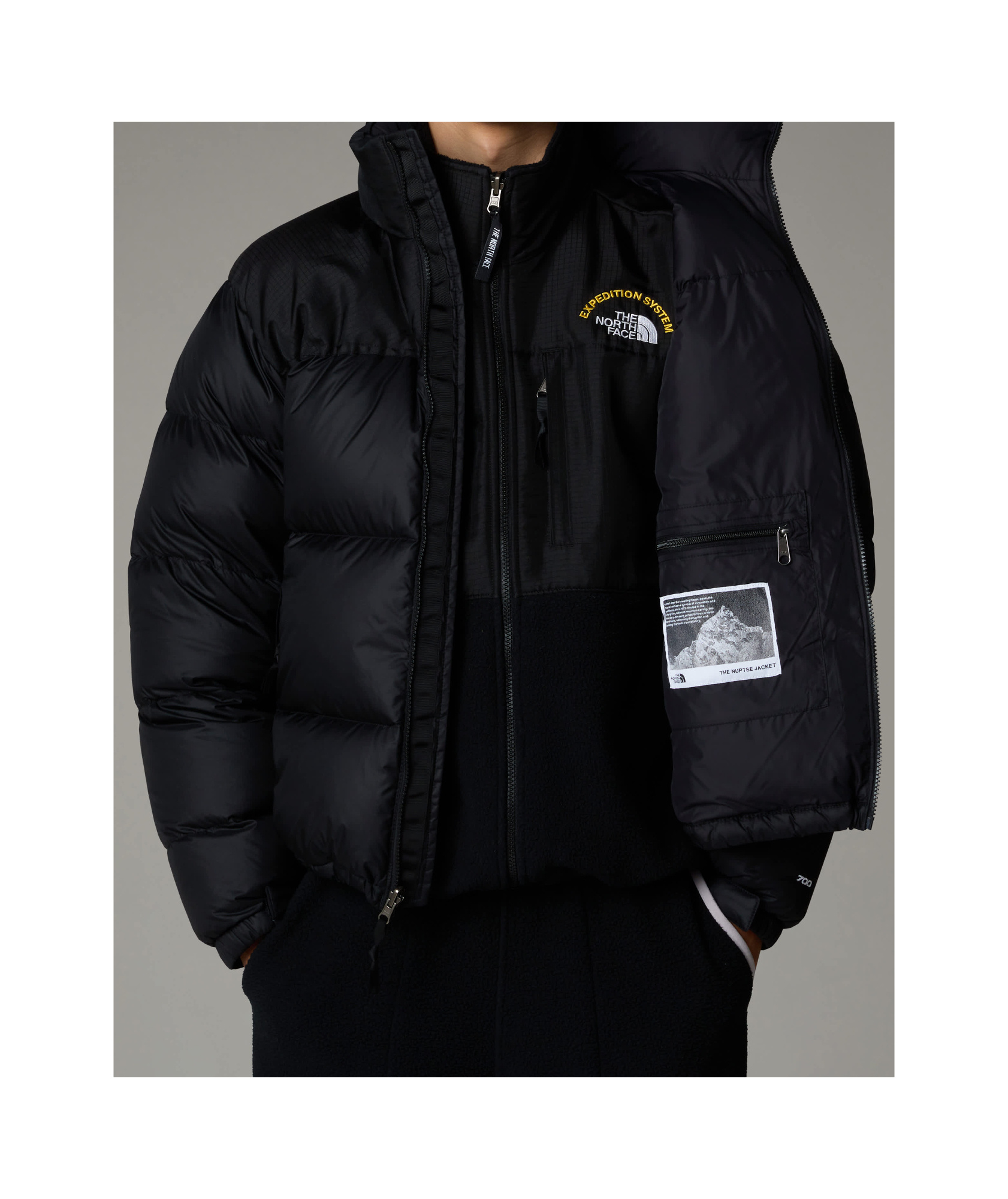 The North Face Logo-print Padded Jacket In Black