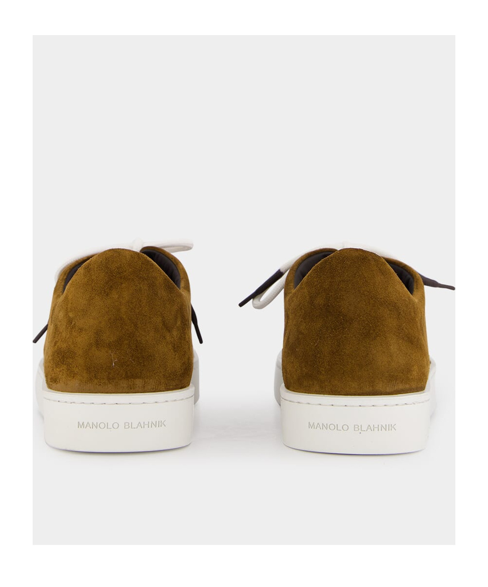 Manolo Blahnik Lace-up Low-cut Casual Shoes In Brown