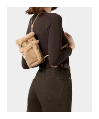 Roger Vivier Tres Vivier Backpack In Suede And Shearling In Brown
