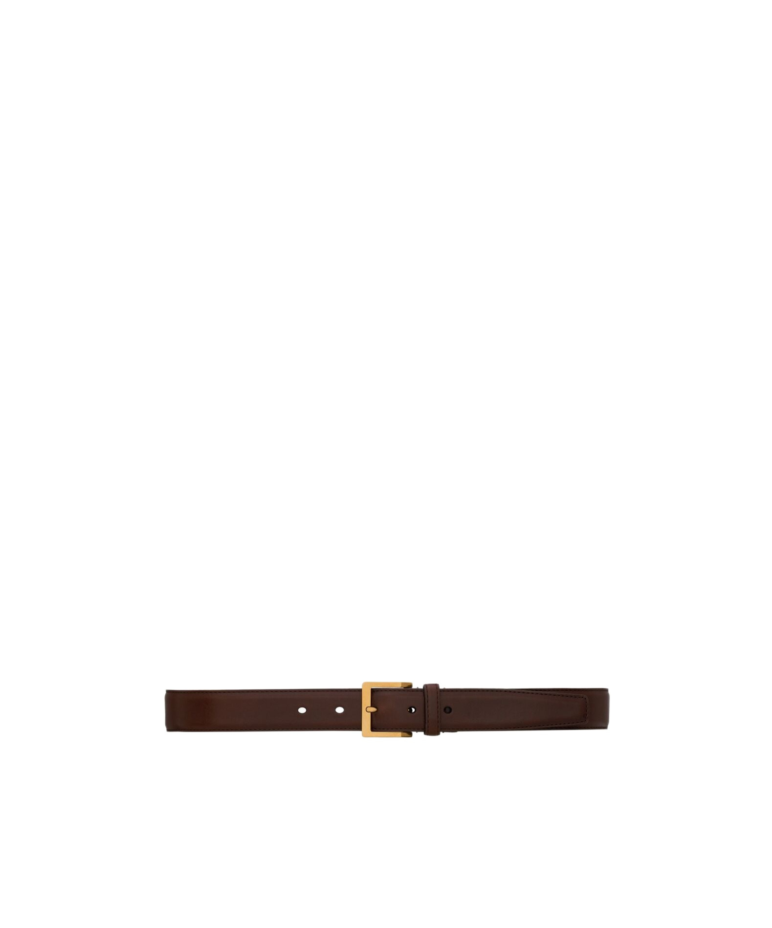 Shop Saint Laurent Vadim Belt In Leather In Caramel Chocolate
