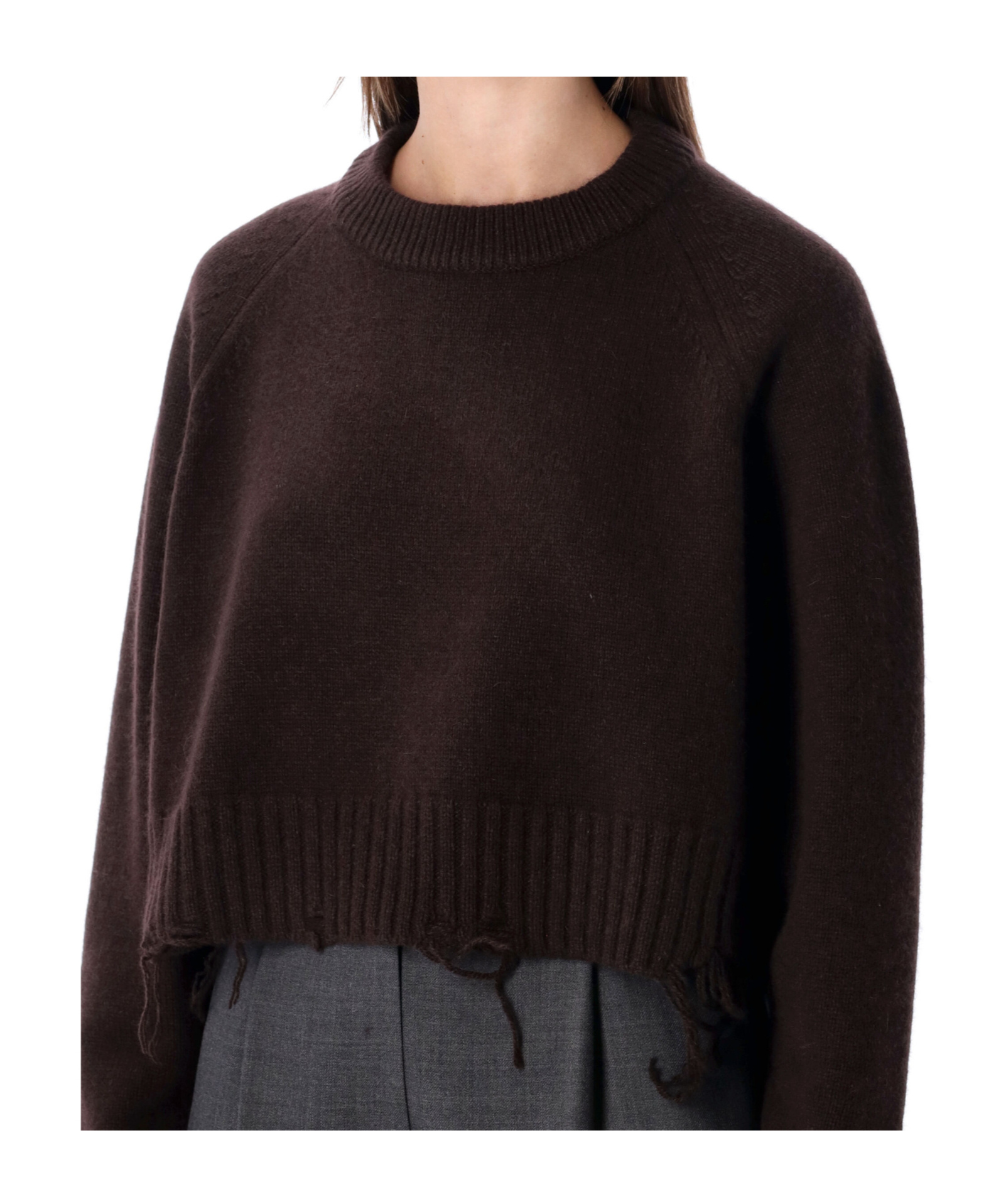 Low Classic Long-sleeved Crew Neck Sweater In Brown