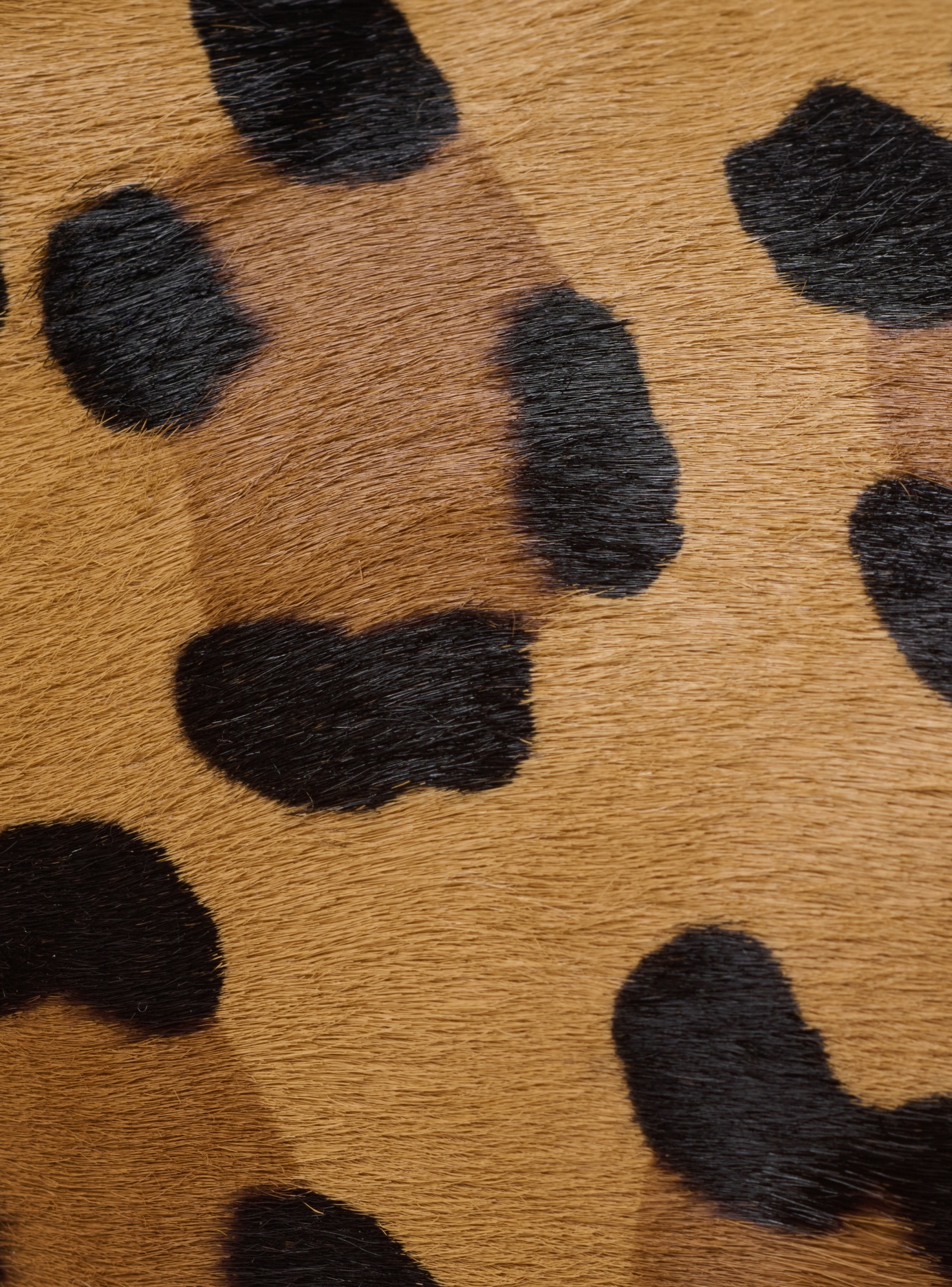 Balmain Anthem Leopard Print Ponyskin Leather And Faux Fur Mules In Animal Print