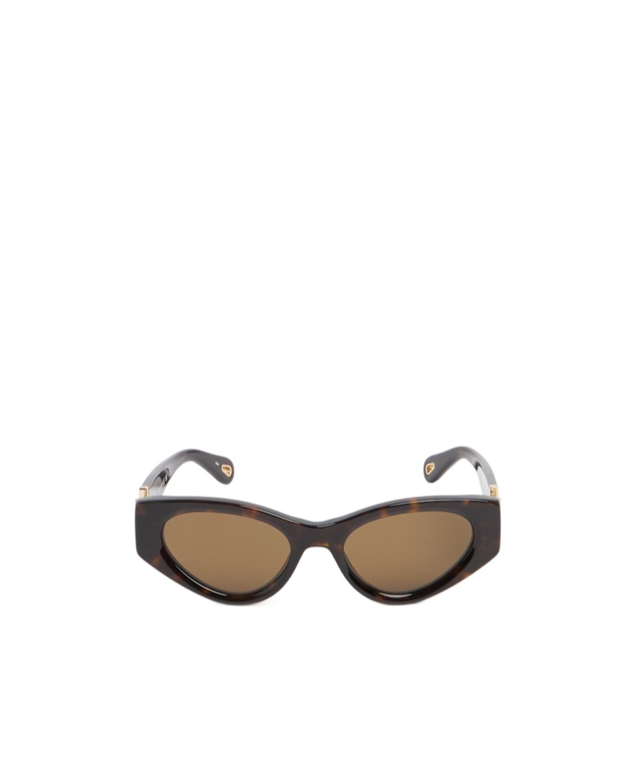 Chloé Full Frame Sunglasses
