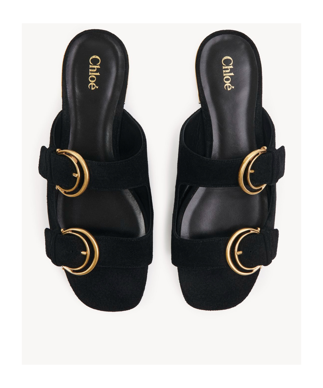 Chloé Mules Alizè Femme Noir Taille 36 100% Peau De Chèvre In Black