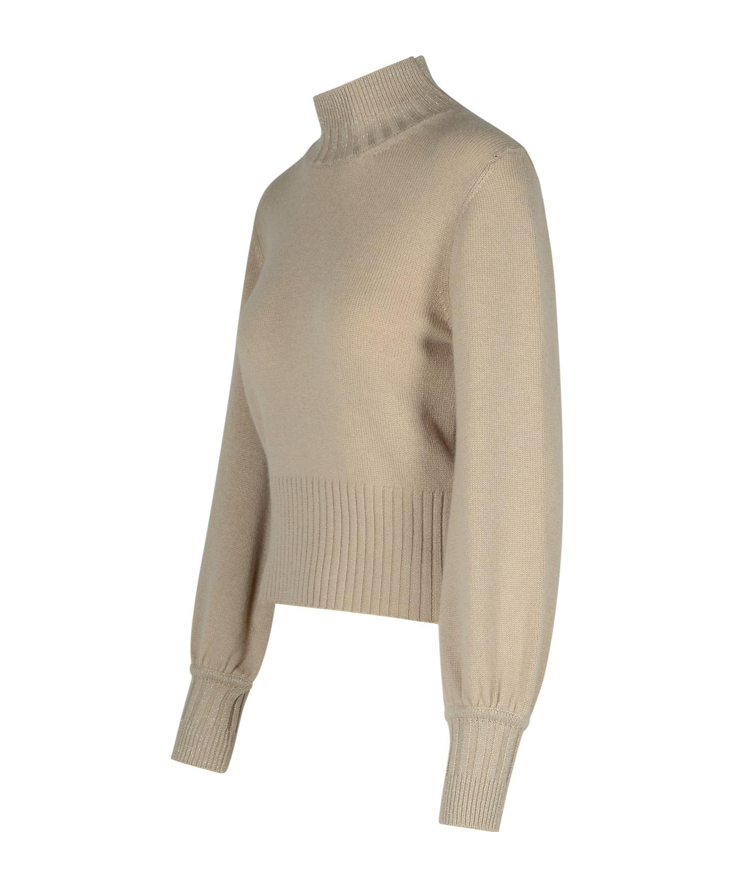 Purotatto Turtleneck Sweater In Nude