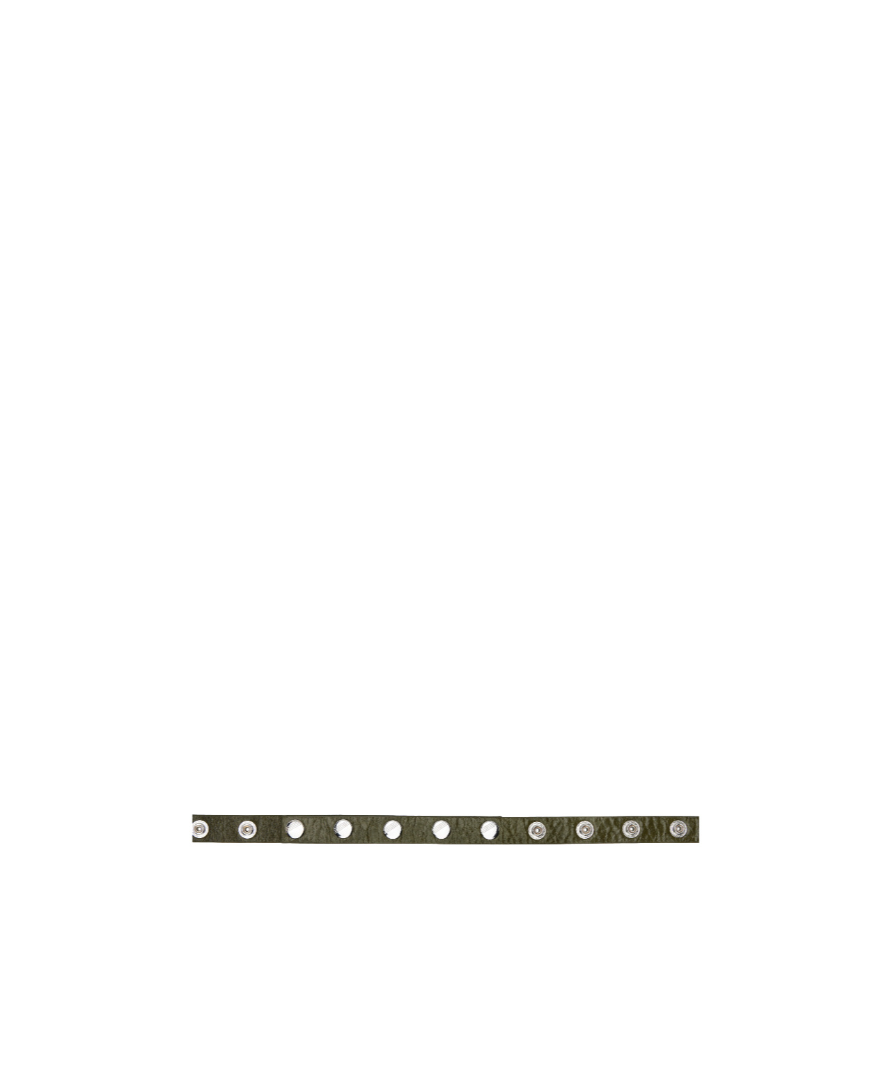 Attico Snap Buckle Belt In Green