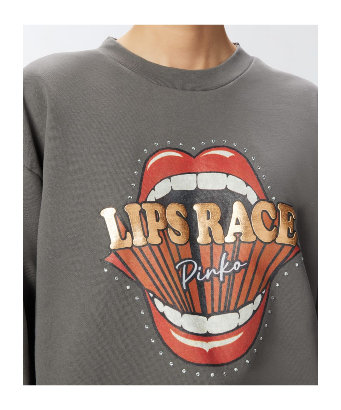 Pinko Graphic-print Sweatshirt In Gray