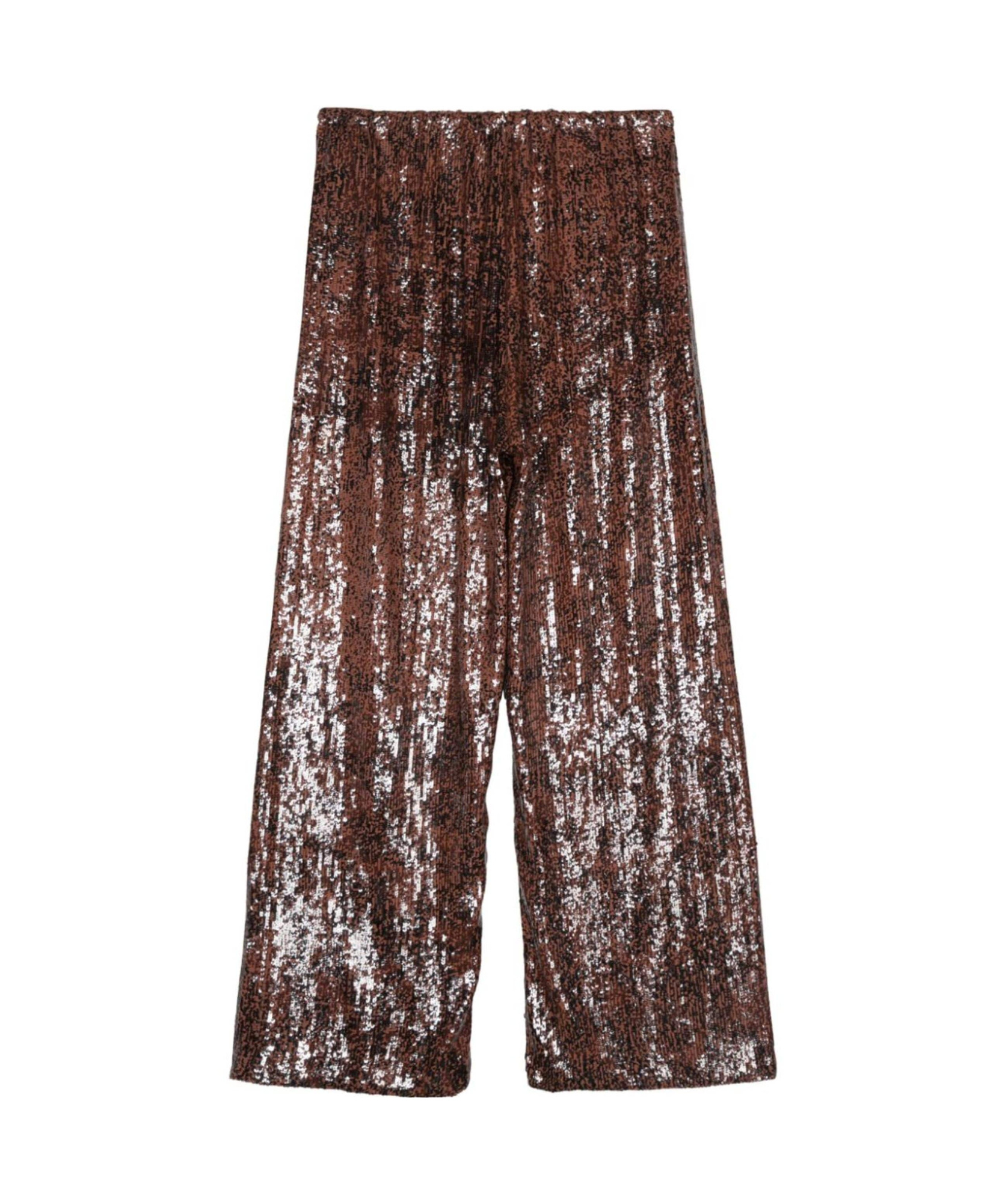 Dries Van Noten Brown Wide Trousers With Micro Sequins In Brown