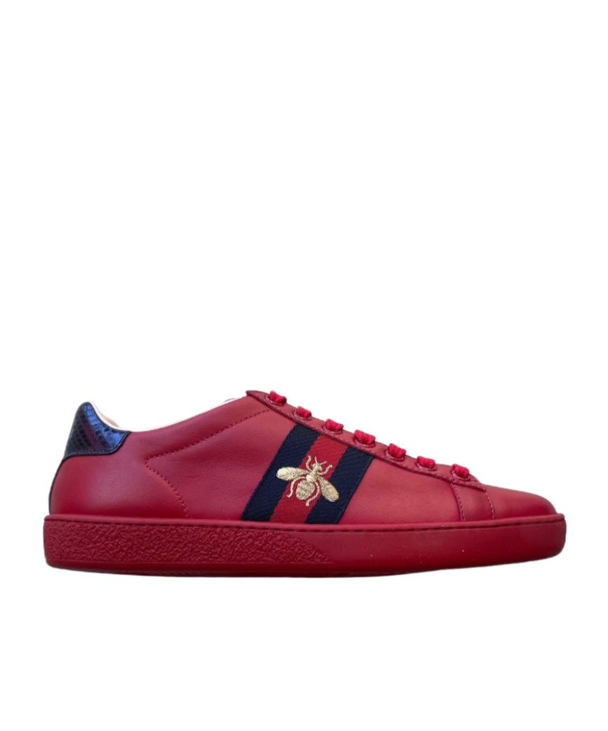 Gucci Lace-up Low-cut Skate Shoes In Red