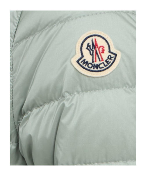 Moncler Down Jacket In Gray