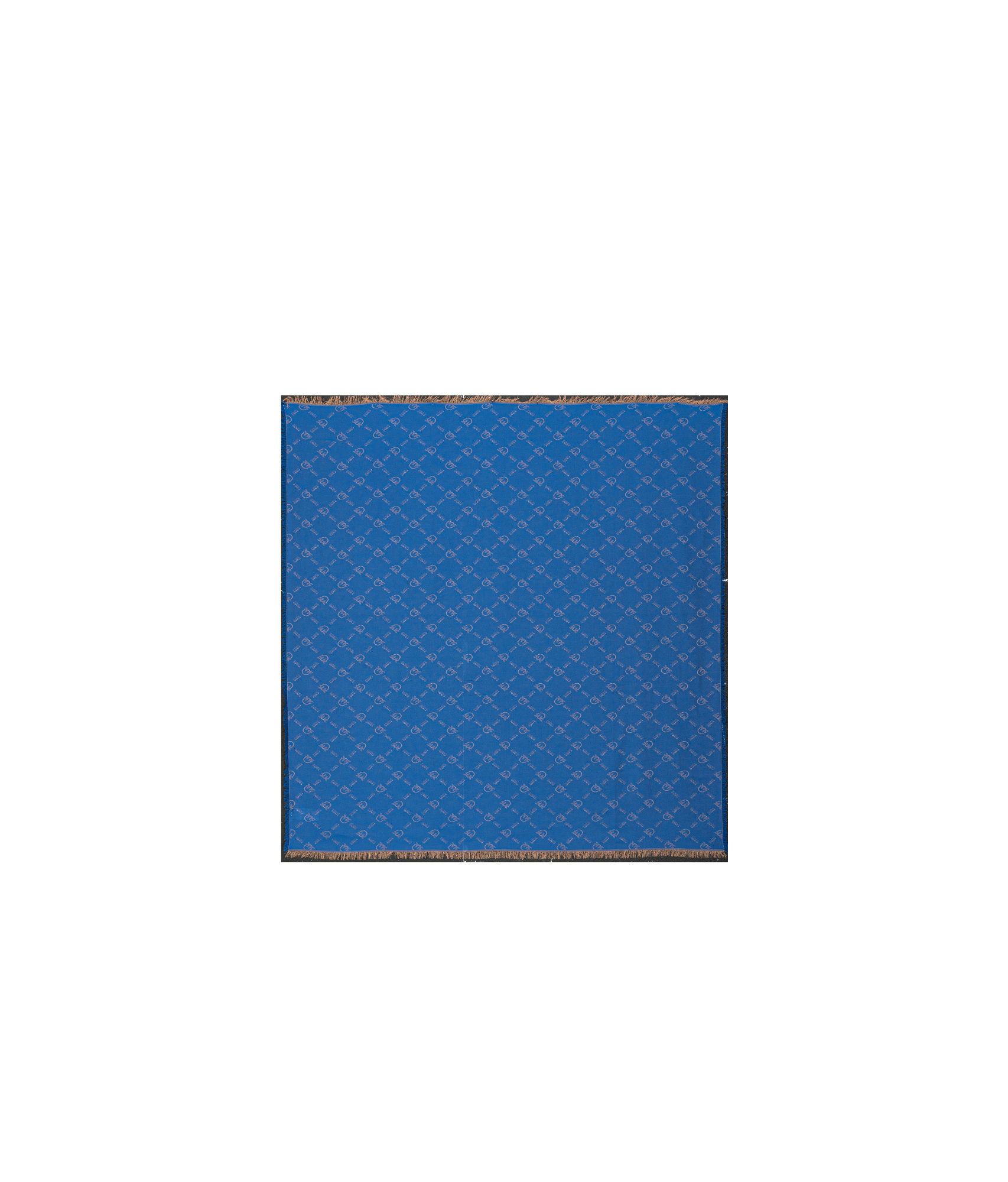 Pinko Brevis Scarf In Blue