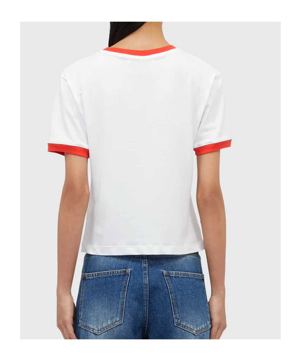 Msgm Logo Crew Neck T-shirt With Contrast Trim In White