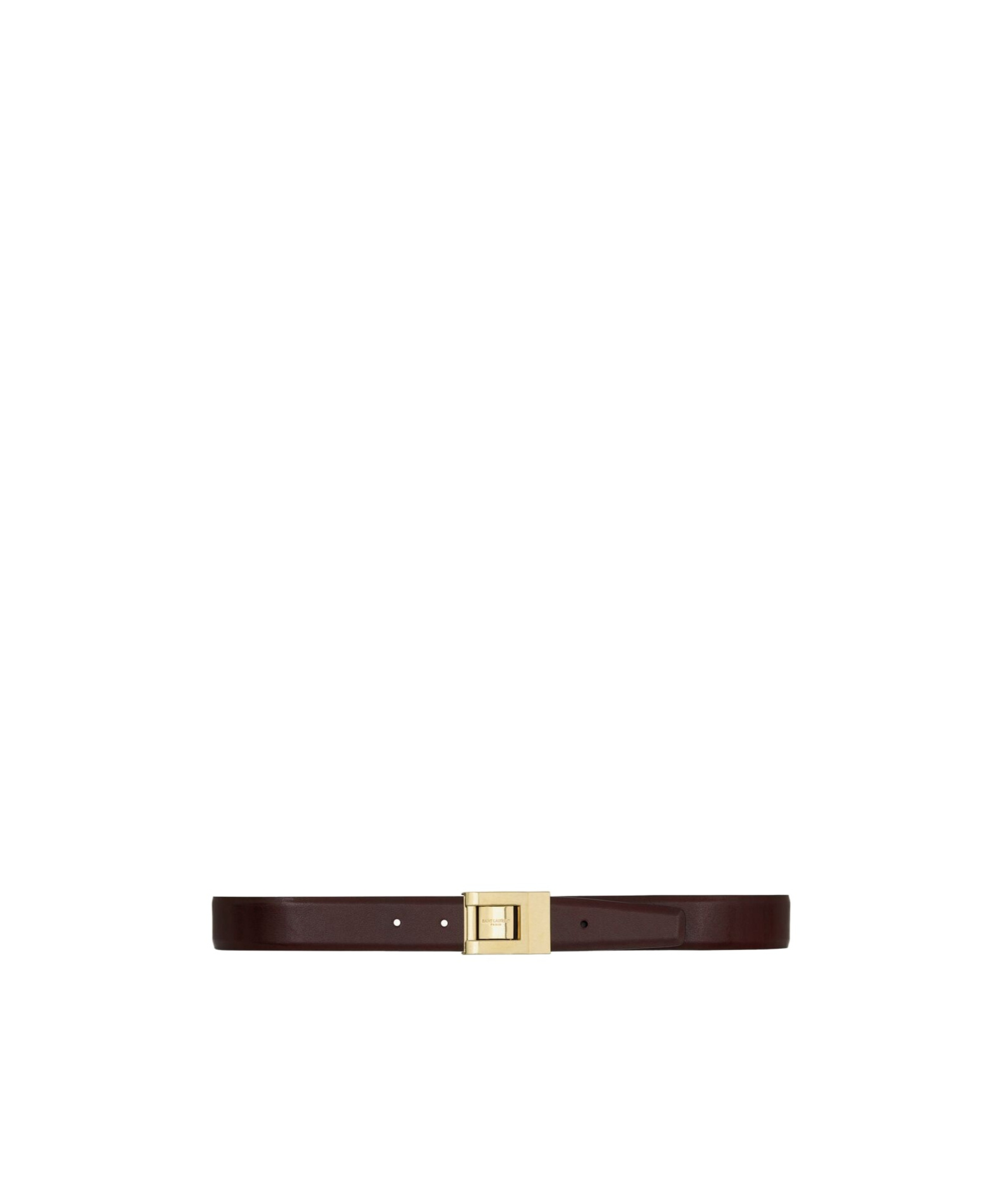 Saint Laurent La 76 Belt In Brown
