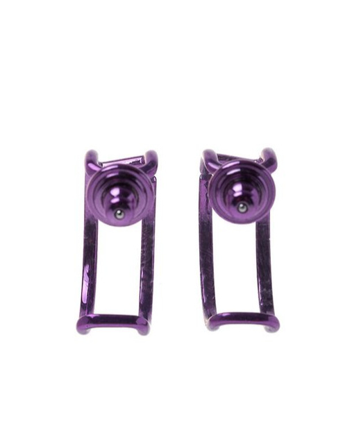 Valentino Logo Earrings In Purple