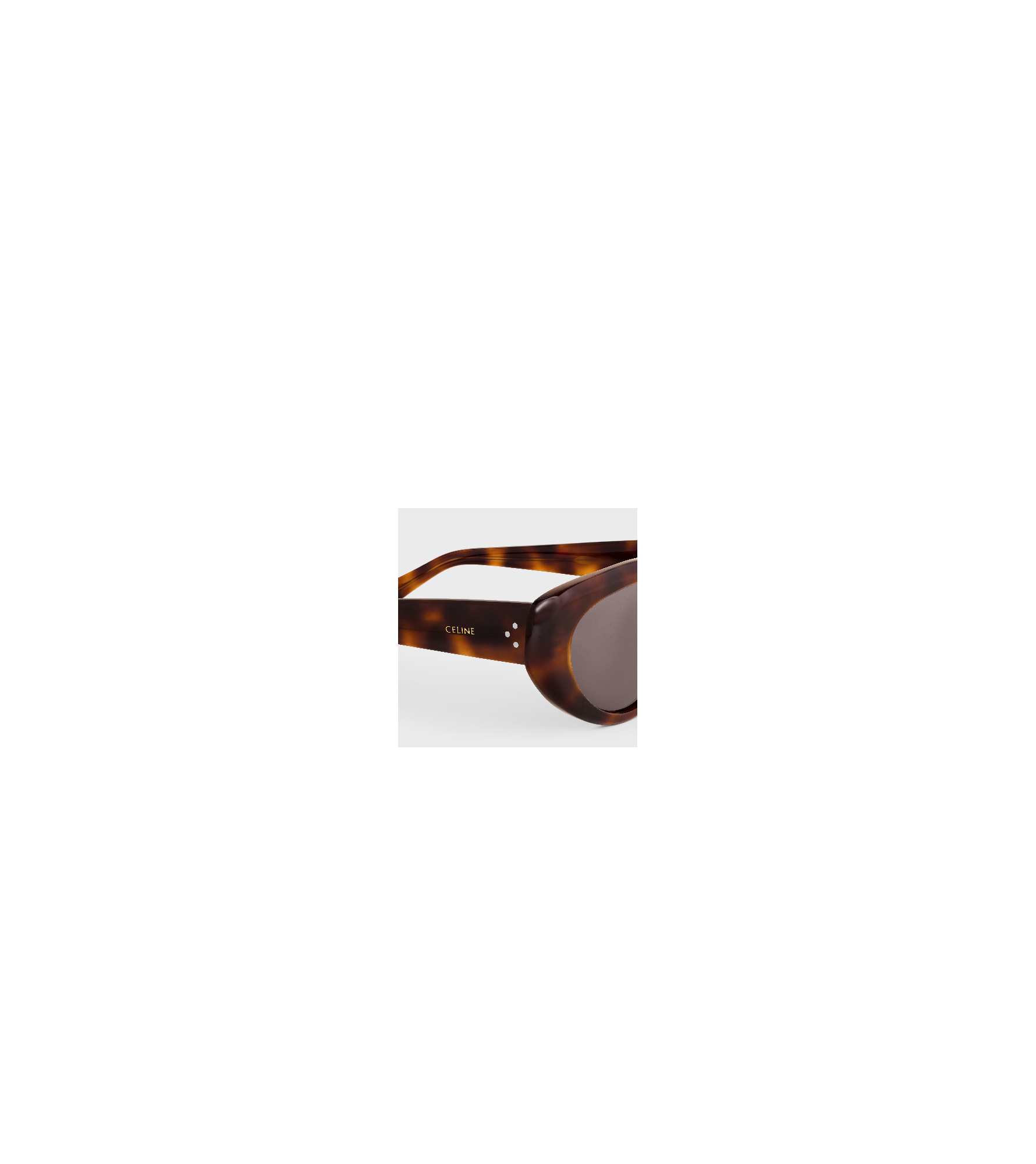 Celine Cat Eye S286 Sunglasses In Acetate In Gray
