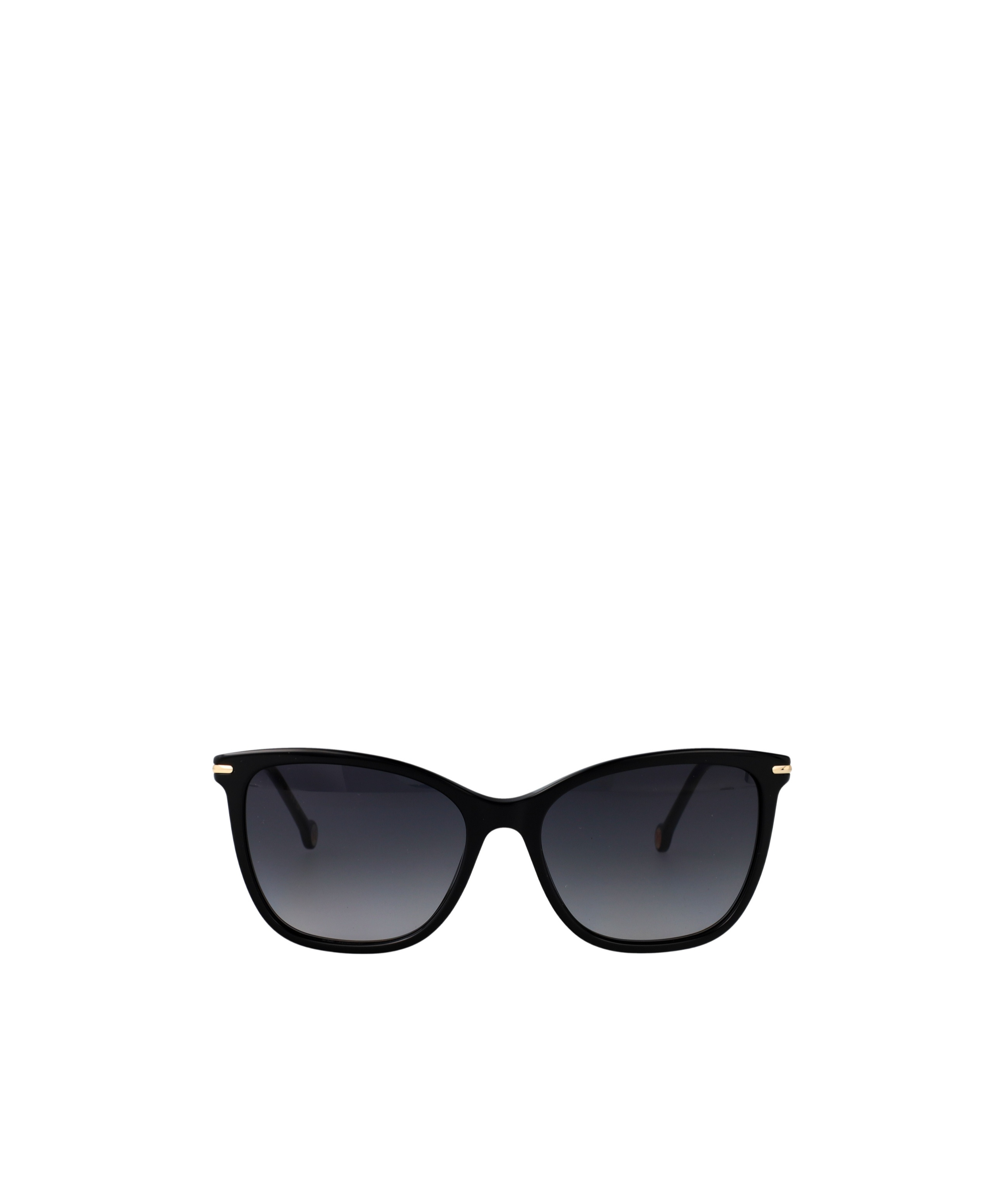 Carolina Herrera Full Frame Sunglasses In Neutral