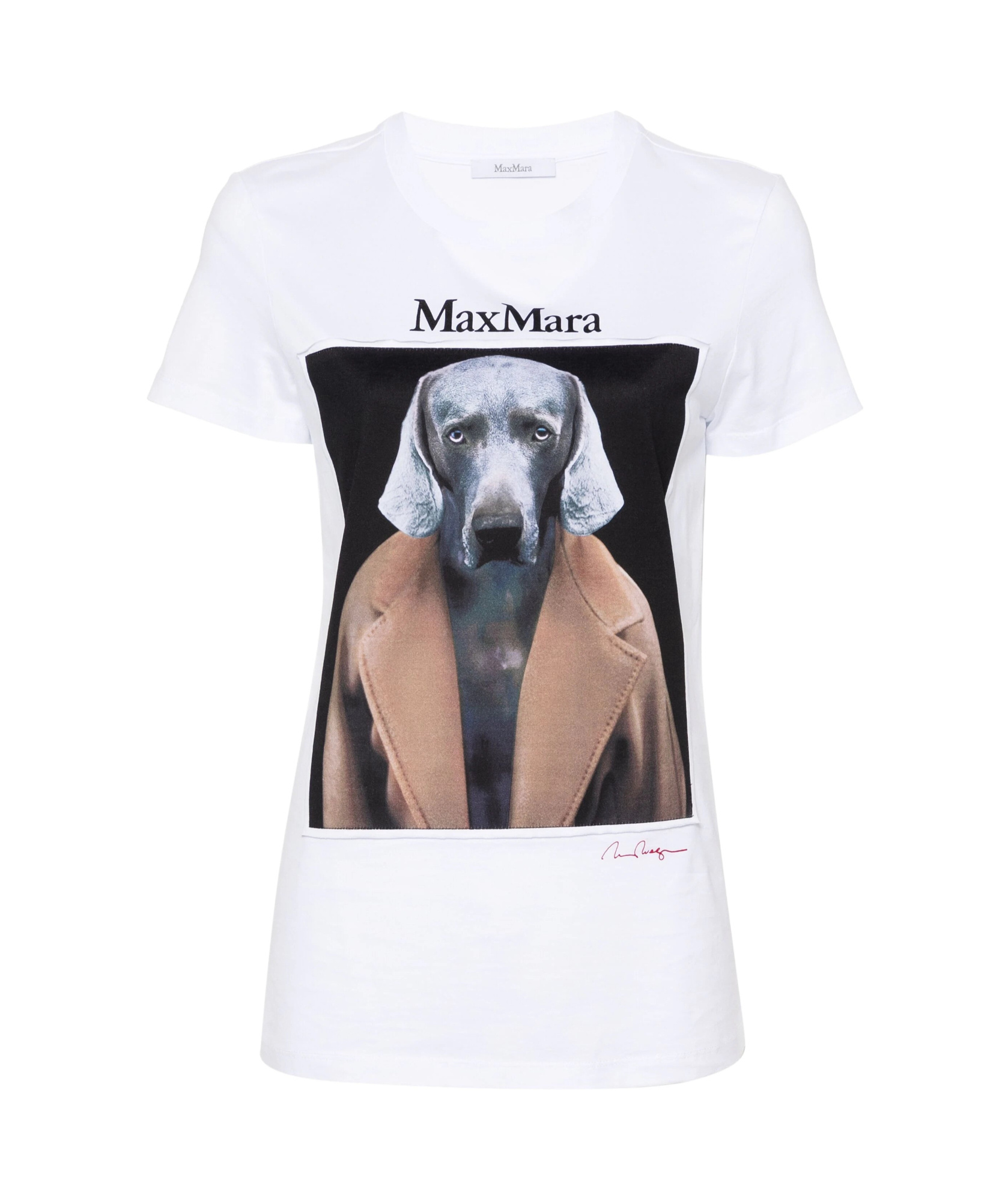 Max Mara Cipria T-shirt In White