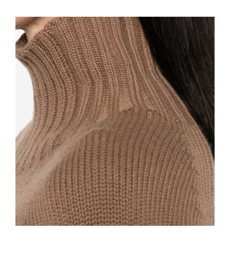 Max Mara Wool And Cashmere Turtleneck In Brown