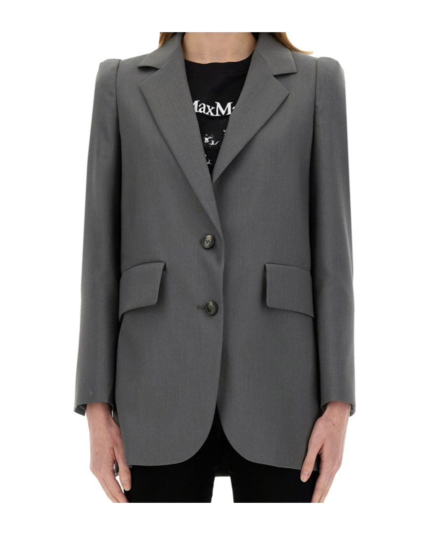 Max Mara Long Sleeve Blazer In Gray